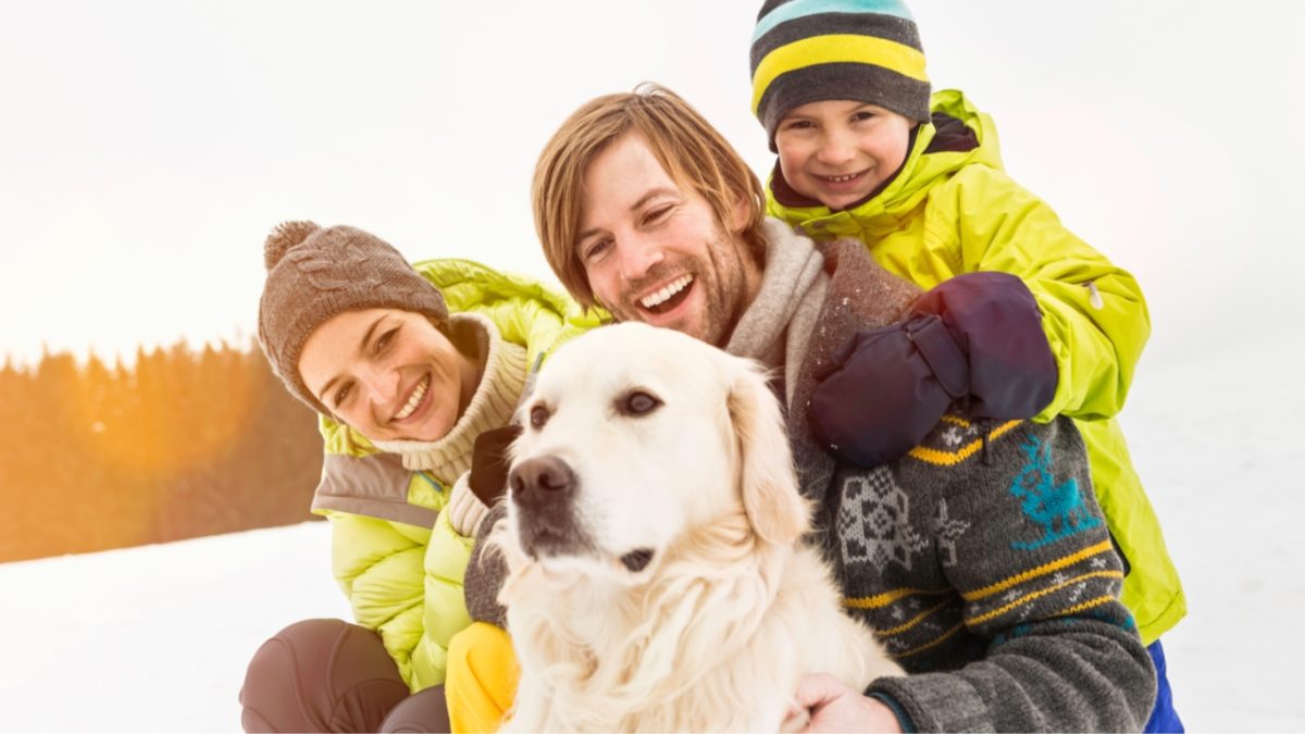 3 New Years Resolutions for Dog Ownersfeatured image