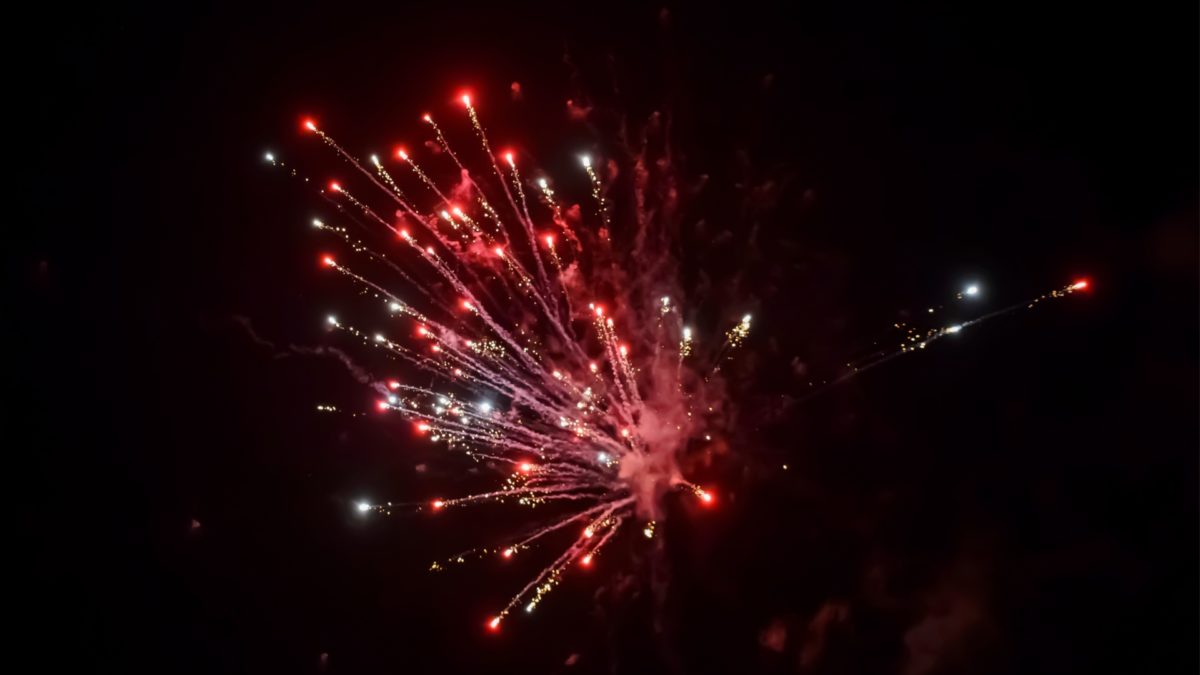 dog-afraid-of-fireworksfeatured image